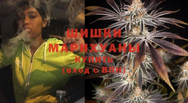 трава Ельня