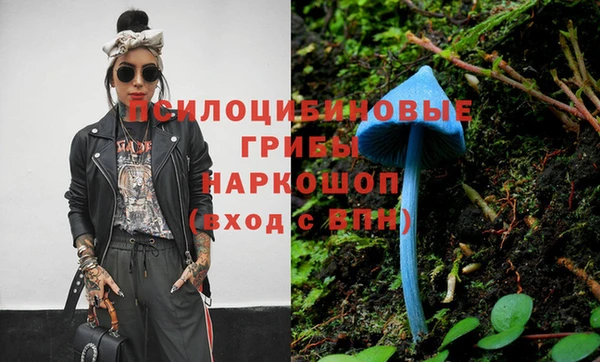 mdpv Елизово