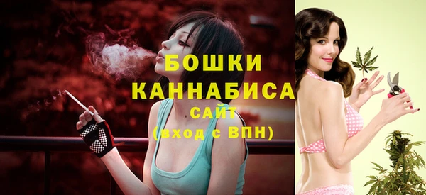 трава Ельня